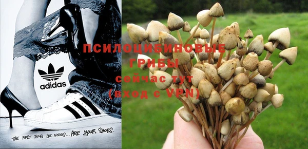 мяу мяу мука Баксан