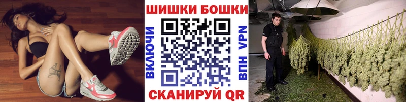 mega маркетплейс  закладки  Верея  Бошки марихуана сатива 